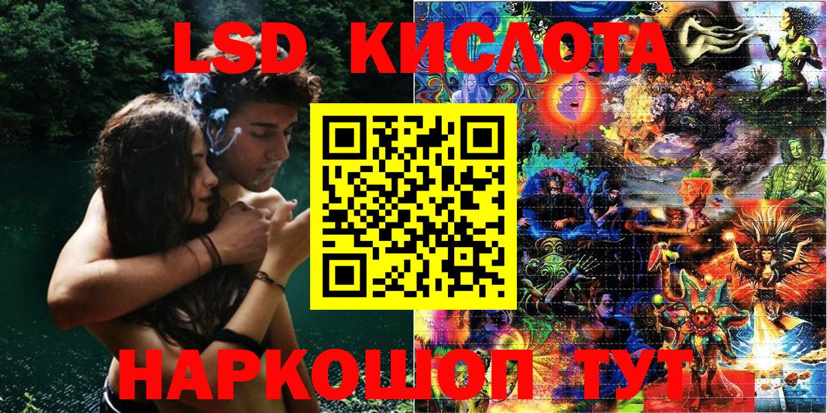Бошки Шишки Дубна