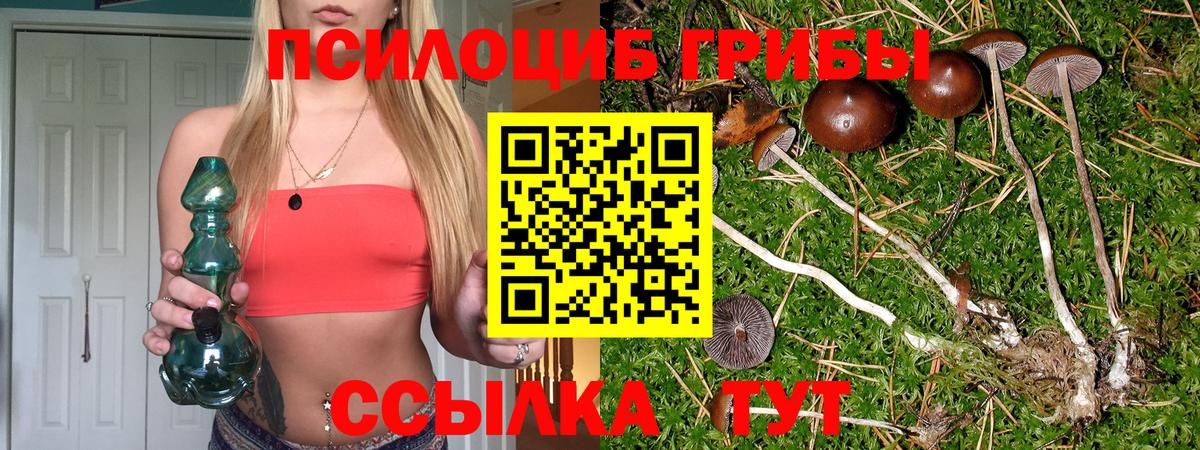 Дубна  Галлюциногенные грибы Cubensis  Вход с VPN  Галлюциногенные грибы GOLDEN TEACHER 