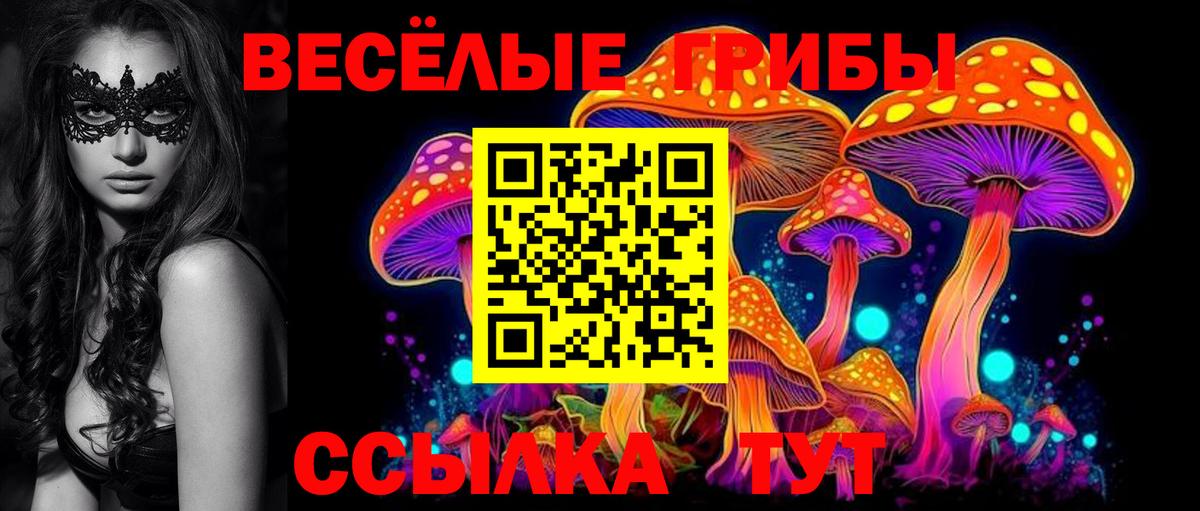 Галлюциногенные грибы мухоморы Дубна